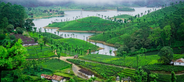 Valparai Hillstation